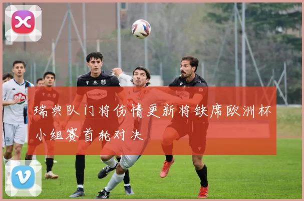 瑞典队门将伤情更新将缺席欧洲杯小组赛首轮对决