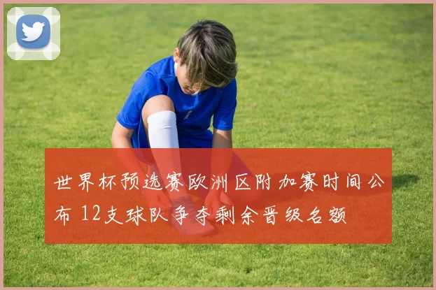 世界杯预选赛欧洲区附加赛时间公布 12支球队争夺剩余晋级名额