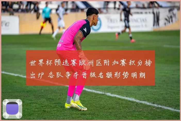 世界杯预选赛欧洲区附加赛积分榜出炉 各队争夺晋级名额形势明朗