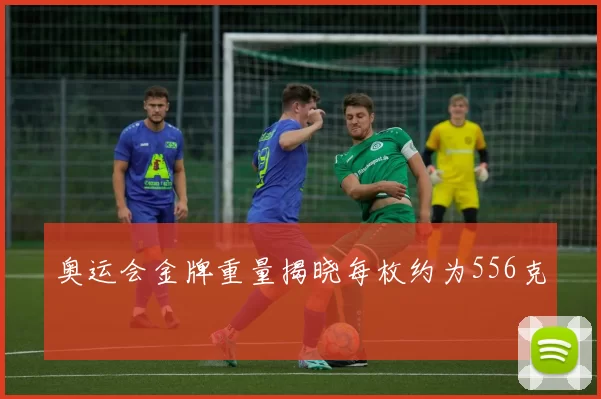 奥运会金牌重量揭晓每枚约为556克