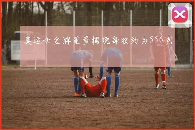 奥运会金牌重量揭晓每枚约为556克