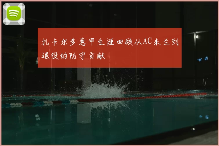 扎卡尔多意甲生涯回顾从AC米兰到退役的防守贡献
